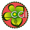 crucifer-genome-initiative-public-datasets